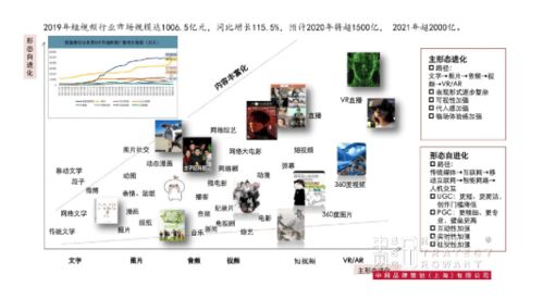 成熟品牌营销突破 金光app与中网品牌策划的品牌战略咨询